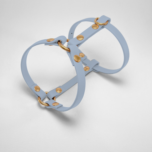 Pettorina ad H in Biothane® Polar Blue