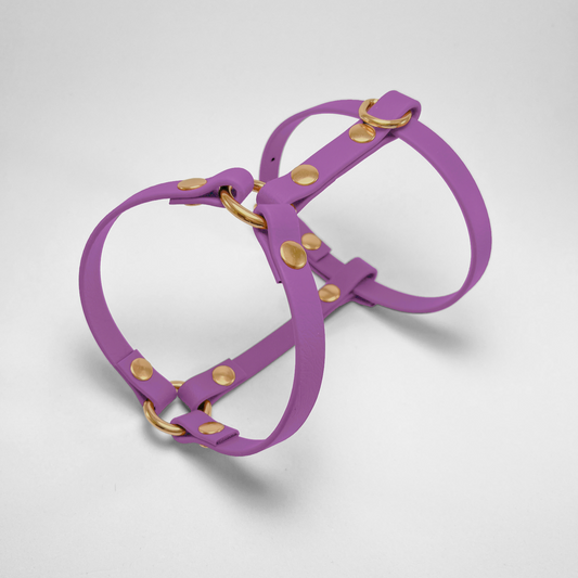 Pettorina ad H in Biothane® Amethyst