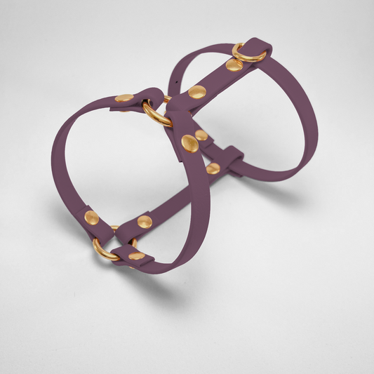 Pettorina ad H in Biothane® Grape