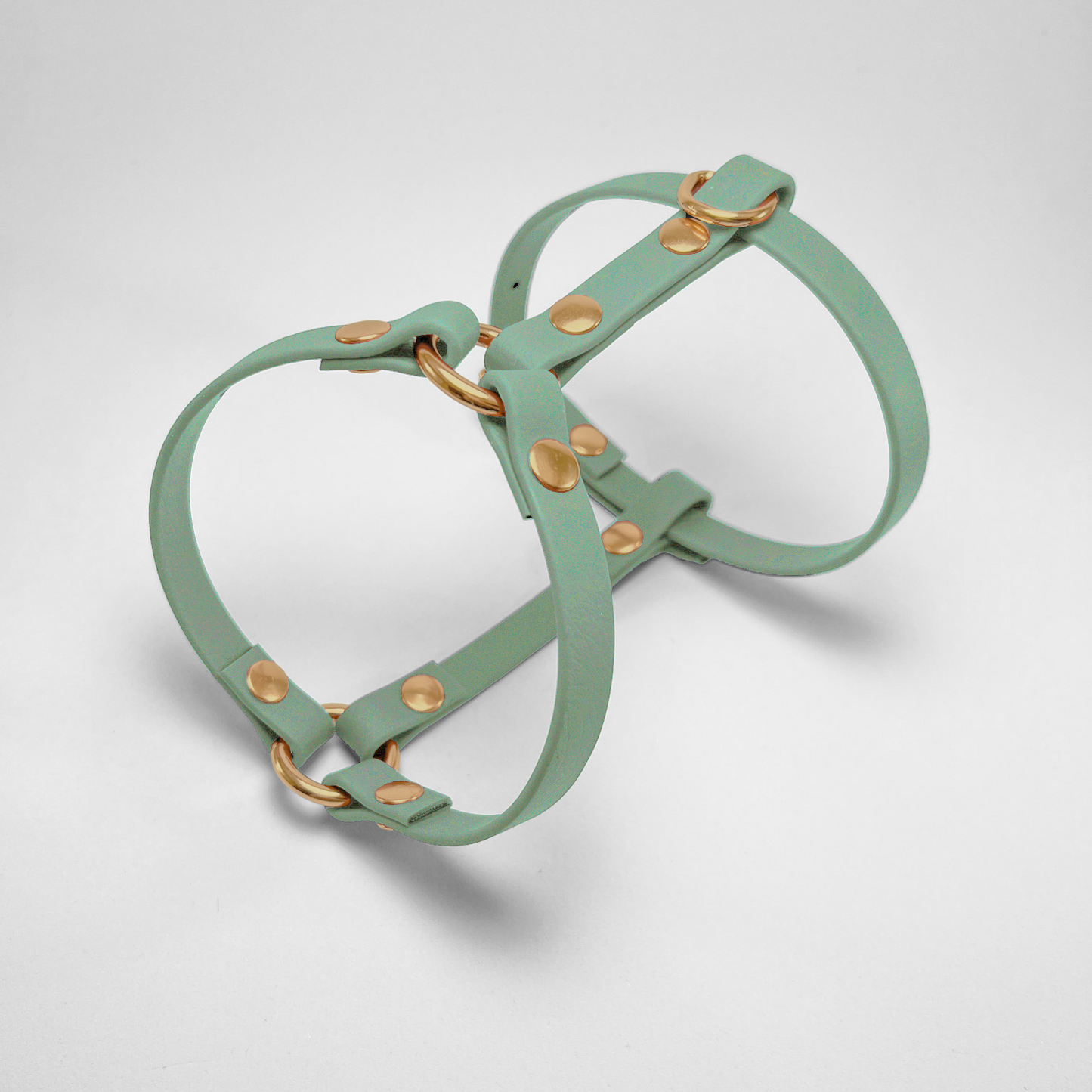 Pettorina ad H in Biothane® Salvia