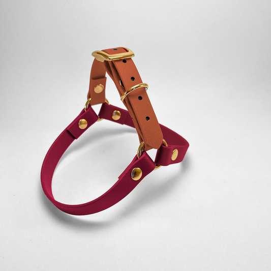 Pettorina ad Y in Biothane® Bicolore Wine e Light Brown