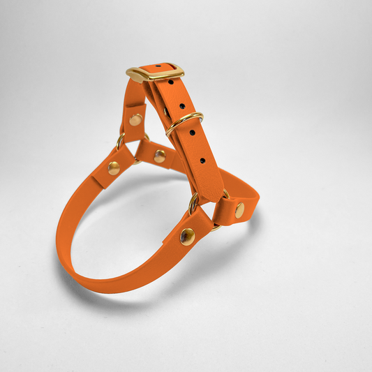 Pettorina ad Y in Biothane® Apricot