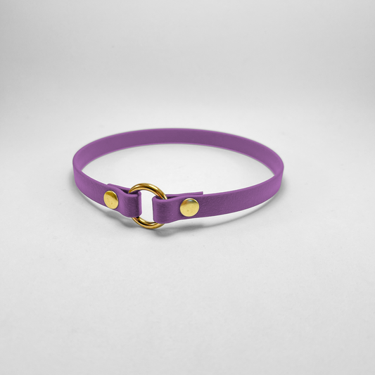 Porta medaglietta in Biothane® Amethyst