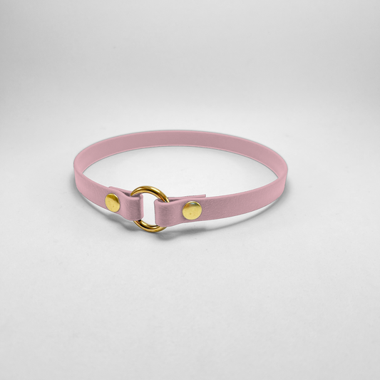 Porta medaglietta in Biothane® Cipria