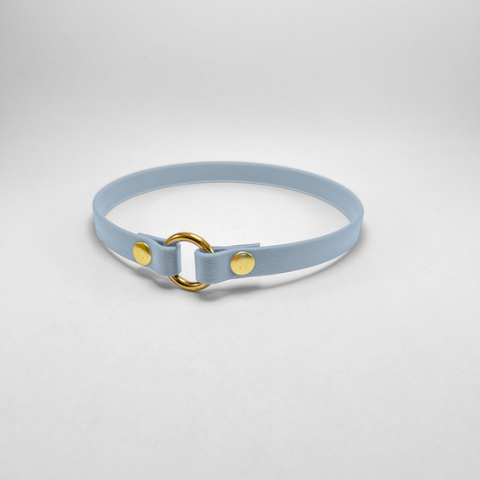 Porta medaglietta in Biothane® Pastel Blue