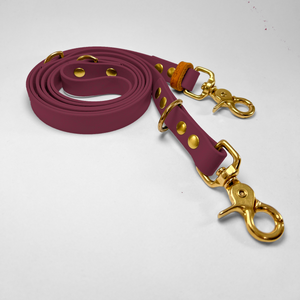 Adjustable length leash 200cm in Biothane® Wine